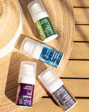 SPF COLLECTION 2025